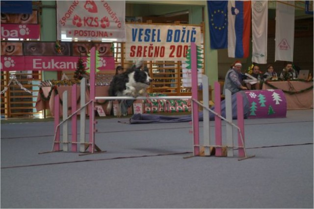Slike z 1. tekme Zimskega Eukanuba pokala - 