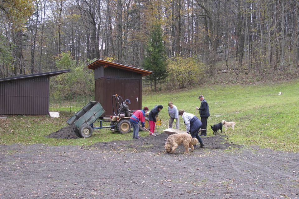 Delovna akcija 30.10.2010 - foto povečava