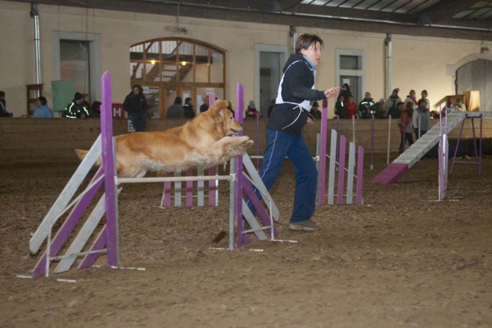 Božična agility tekma 18.12.2010 - foto povečava