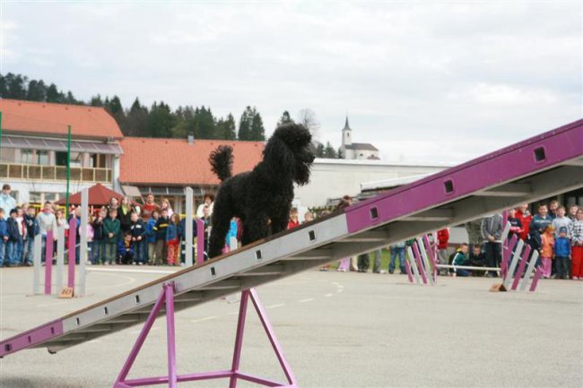 Nastop za otroke v Logatcu-18.04.06 - foto povečava