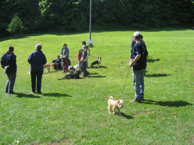 Tečajniki pomlad 2006 - foto