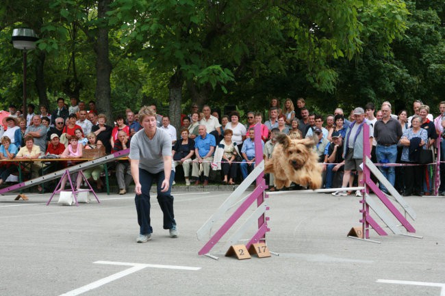 Furmanski praznik 2006 - foto povečava