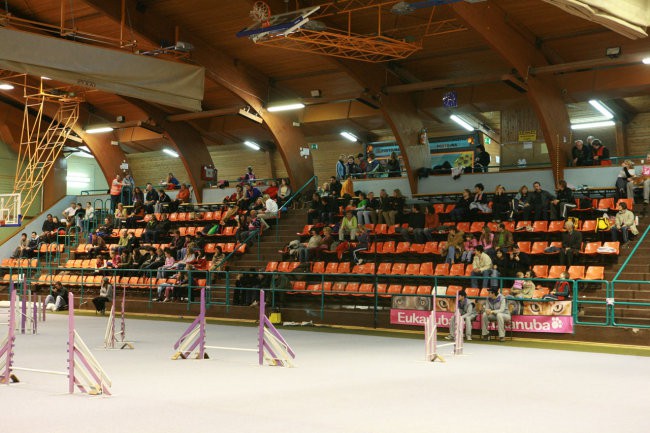 Božična tekma - agility 2006-Postojna - foto povečava