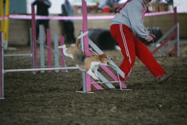 Finale eukanuba zimskega pokala 06/07 - foto