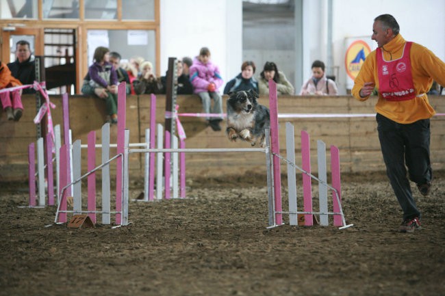 Finale eukanuba zimskega pokala 06/07 - foto povečava