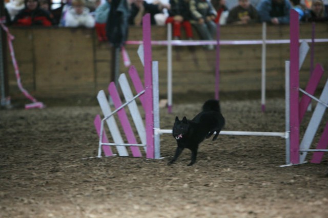 Finale eukanuba zimskega pokala 06/07 - foto