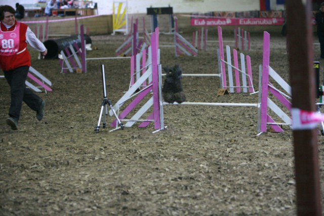 Finale eukanuba zimskega pokala 06/07 - foto