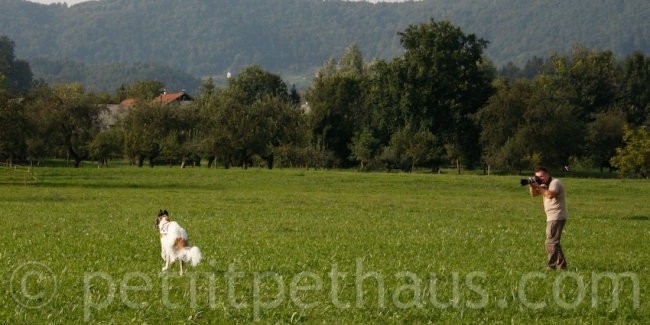 1. National Coursing Slovenia - foto povečava