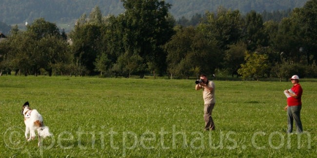 1. National Coursing Slovenia - foto povečava