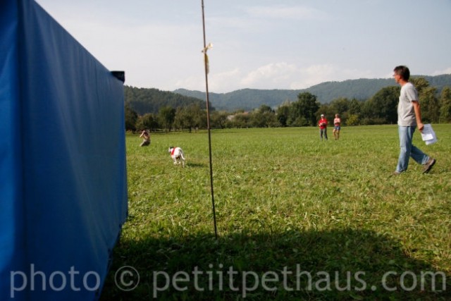 1. National Coursing Slovenia - foto