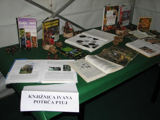 Kostanjev piknik 2008 - foto