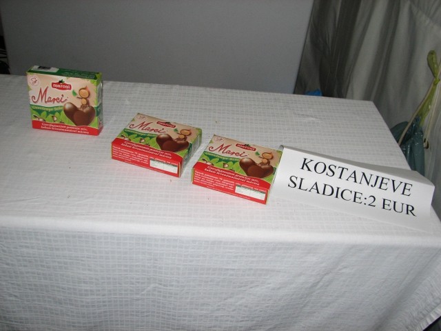 Kostanjev piknik 2008 - foto
