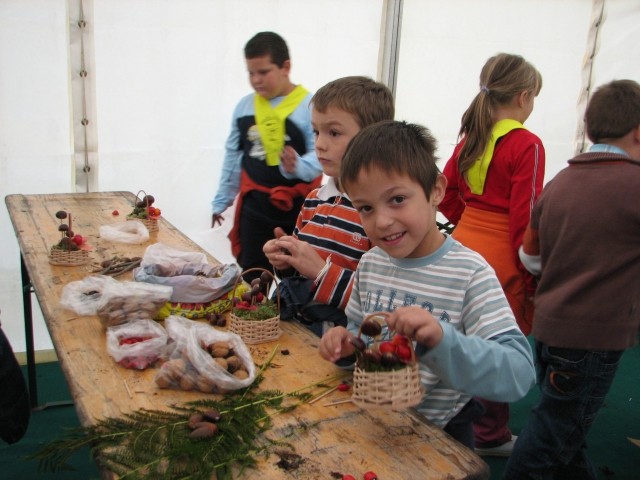 Kostanjev piknik 2008 - foto