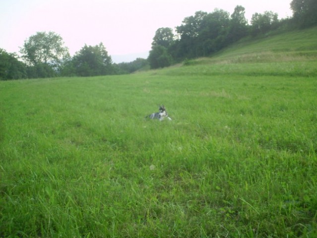 Lena sprehod - foto