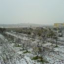 Pa kot ste opazili, bil je sneg v Valenciji. Neki zelo zelo redkega. Pogled na nasade ob p