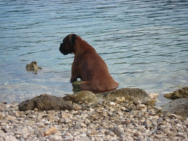 Izlet - foto povečava