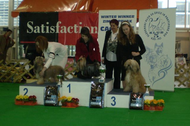 3rd place in junior handling; CAC Celje 2009