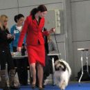 dog handling 2011