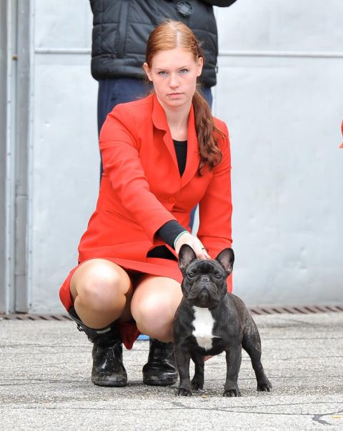 Dog handling 2012 - foto
