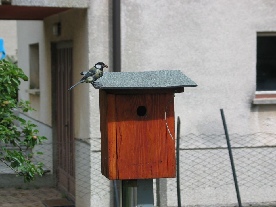 Avto - foto povečava