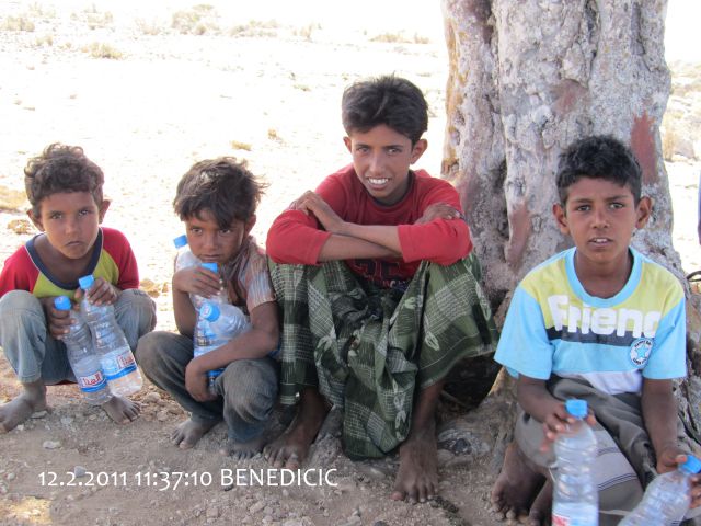 YEMEN 2011 - foto