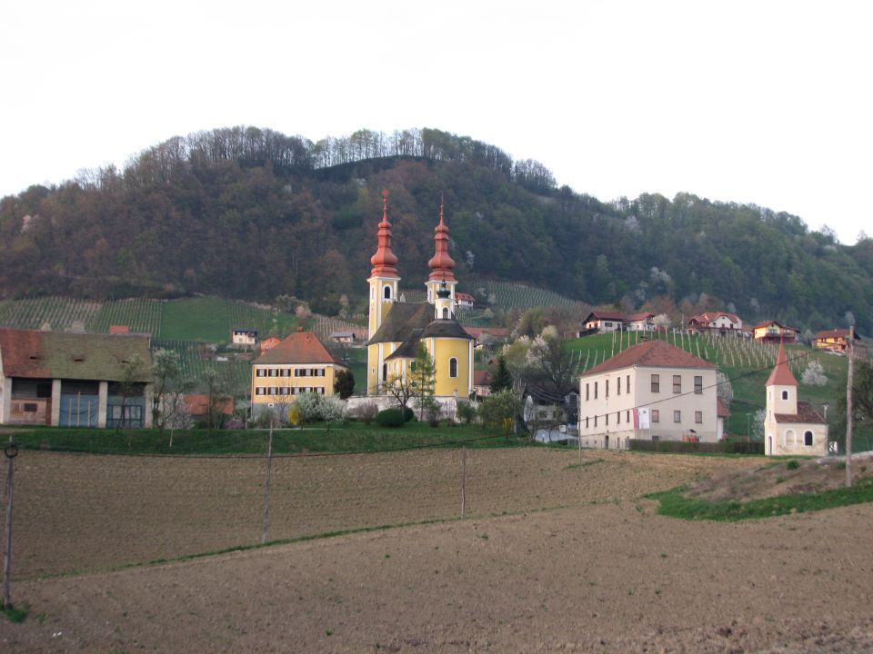 Skupščina GZ Šmarje pri Jelšah 2011 - foto povečava