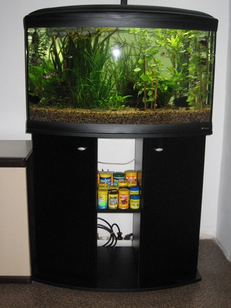 Moj akvarij 150L(24.9.08) - foto