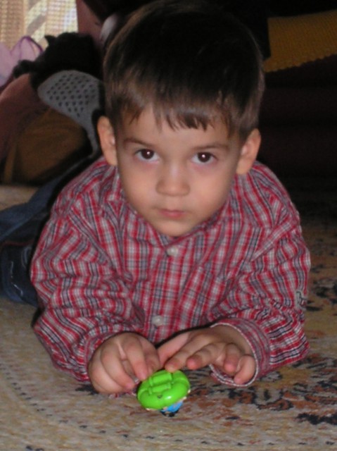 Tarik - foto