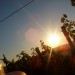 sonce 3