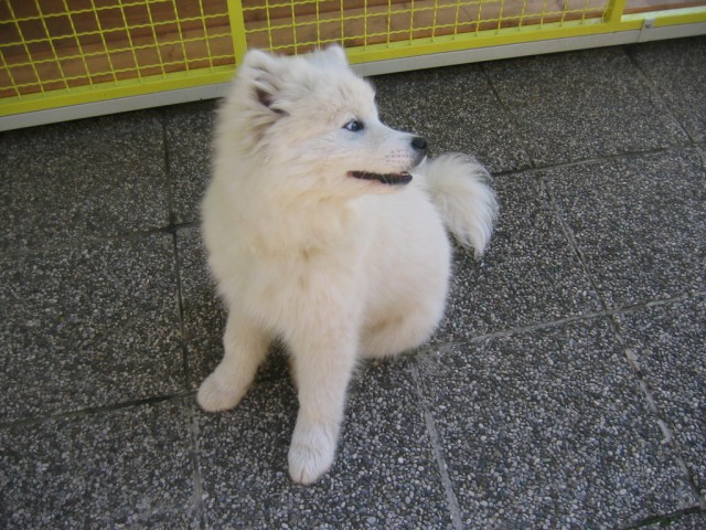 Kim - foto