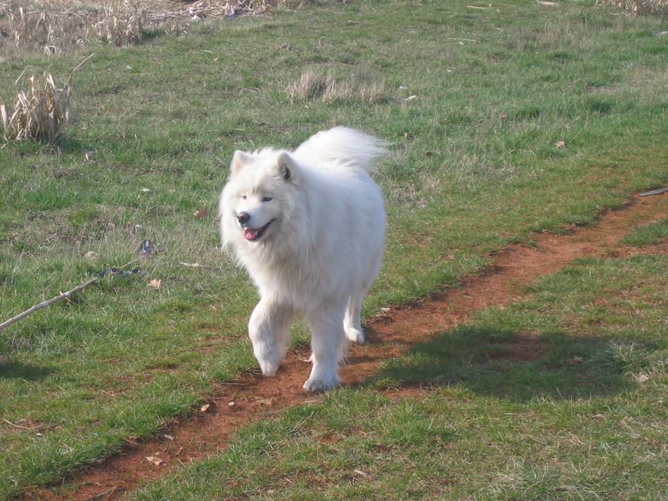 Morje - foto povečava