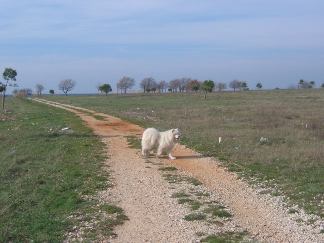 Morje - foto