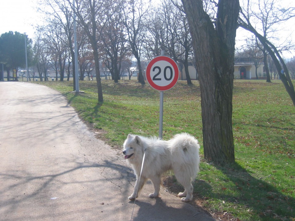 Morje - foto povečava