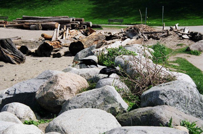 SeaWall - foto povečava