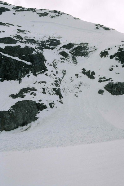 Wedgemount glacier maj 2005 - foto