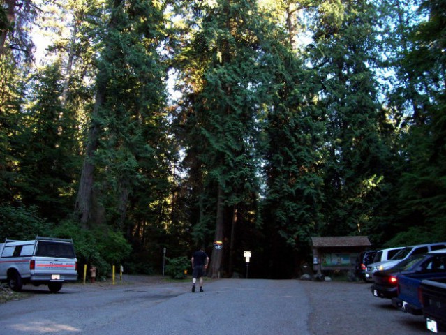 Lighthouse Park - foto