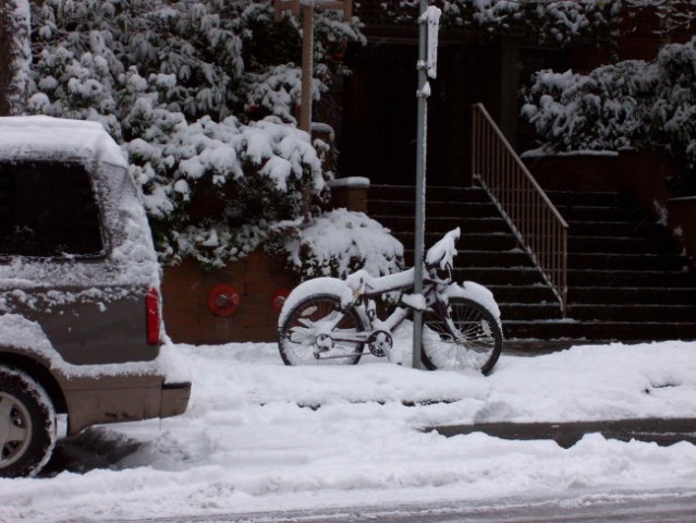 Zima u novembru 2006 - foto
