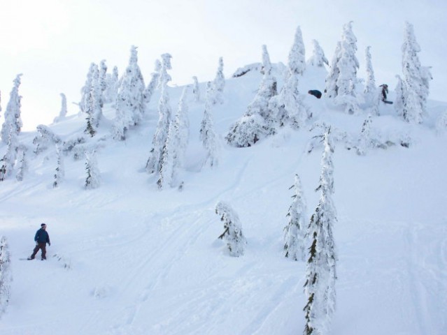 Snowboarders