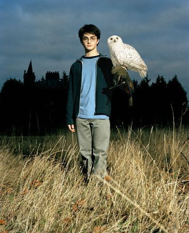Harry Potter - foto povečava
