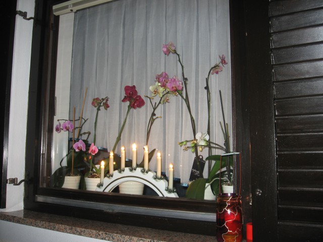 Orhideje in svečnik