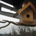 ptičja krmilnica za lačne ptičke okoli naše hiše