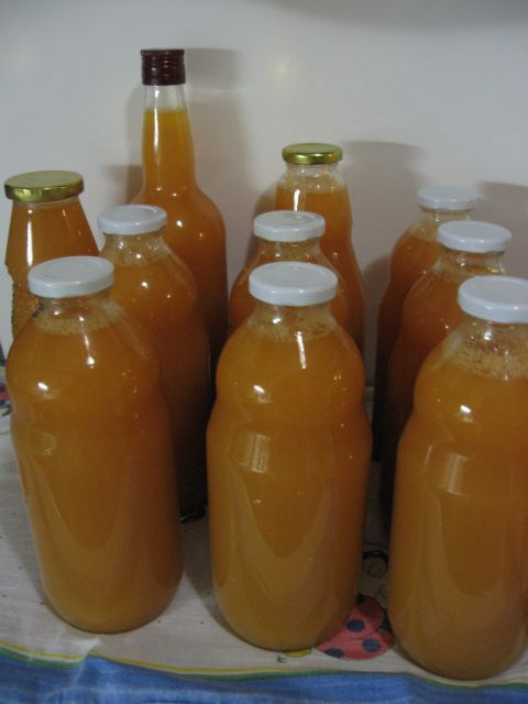 3. letošnja serija jabolčnega soka s korenjem