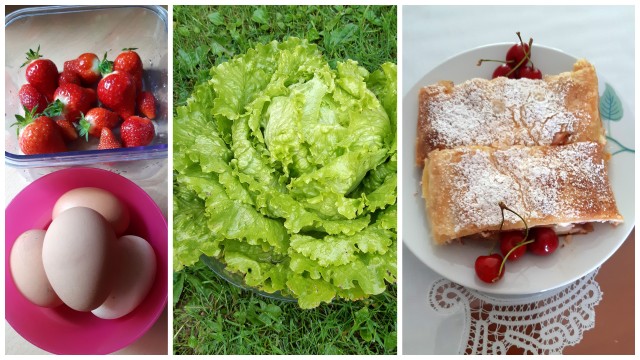 Pecivo in še kaj - foto