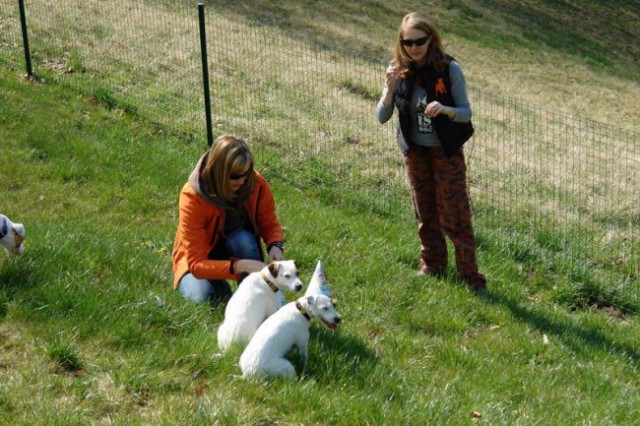 Rojstni dan - foto