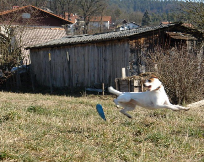 Treningi za OI - foto povečava