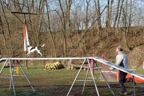 Treningi za OI - foto