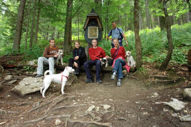 Koroška - foto povečava