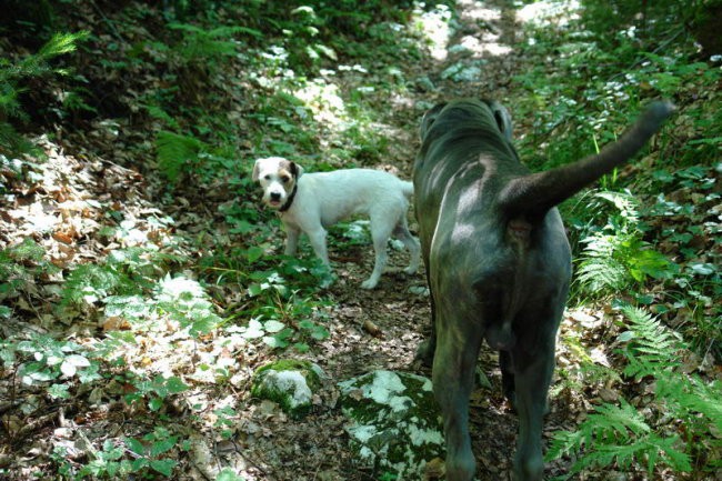 Tango - foto povečava