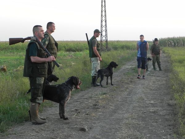 Slavko komsija - foto