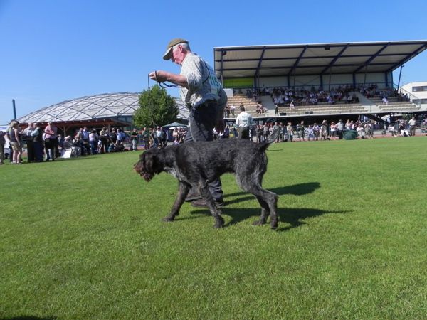 Hegevald 2011 - foto povečava